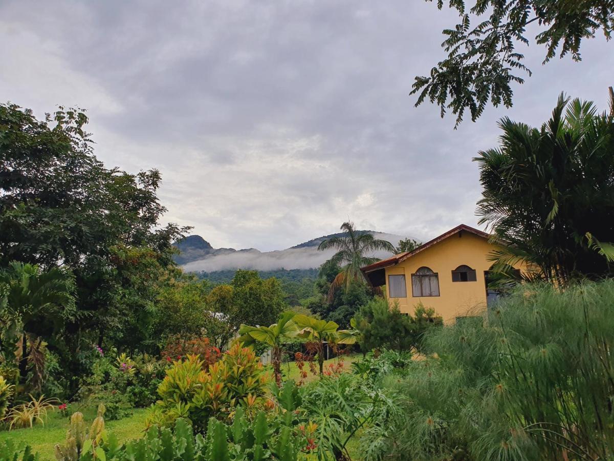 Yellow Tree Suites La Fortuna Ngoại thất bức ảnh