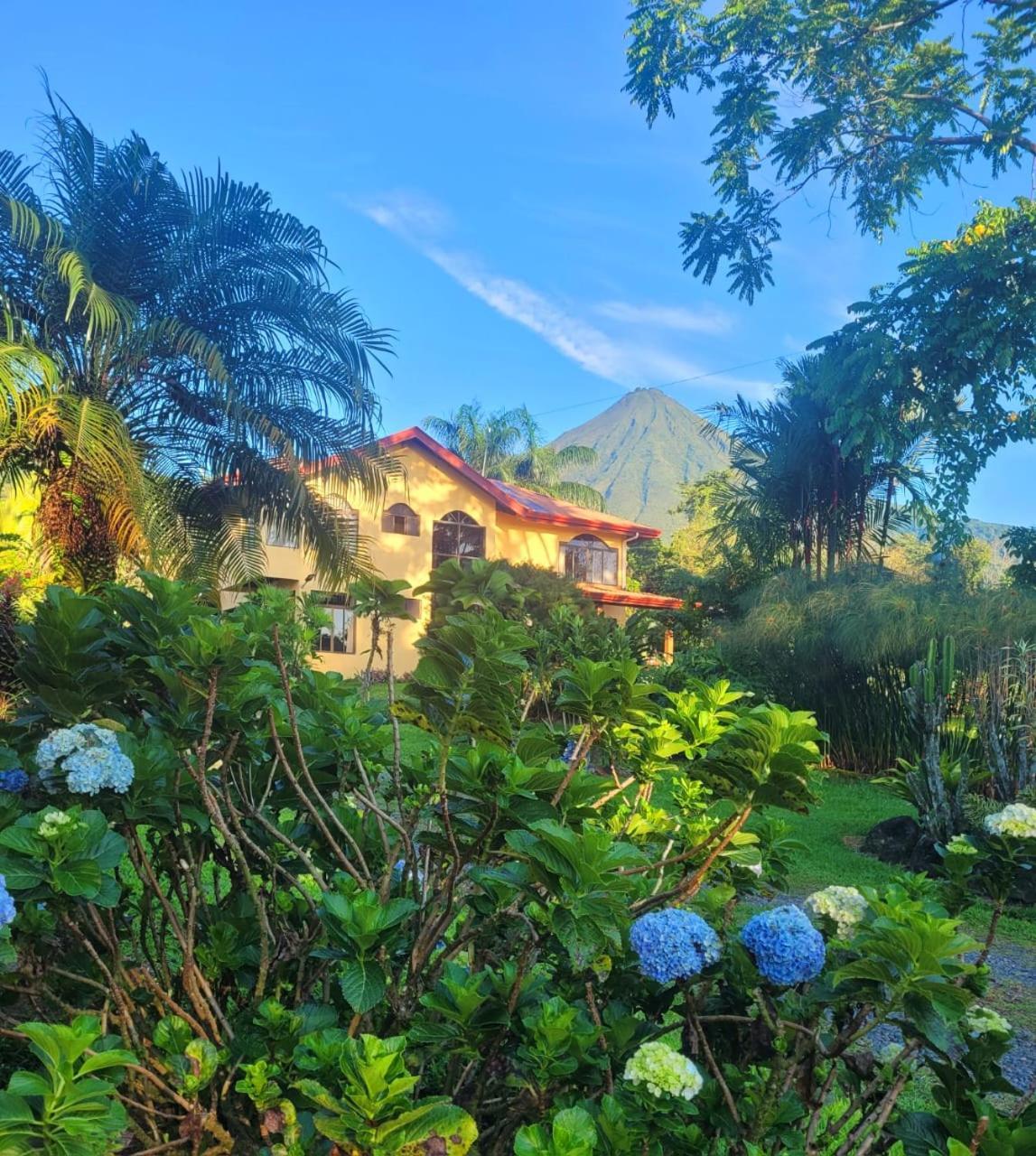 Yellow Tree Suites La Fortuna Ngoại thất bức ảnh