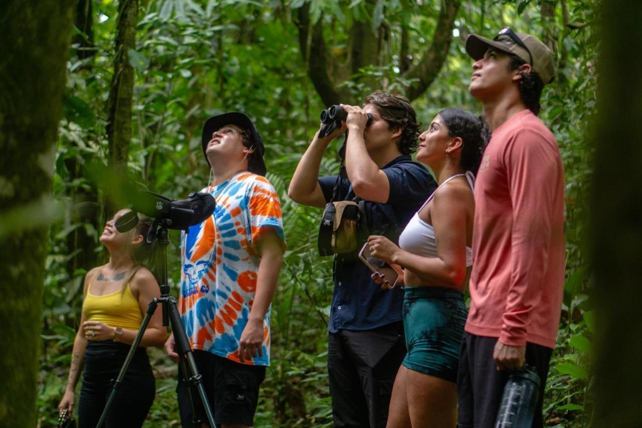 Yellow Tree Suites La Fortuna Ngoại thất bức ảnh